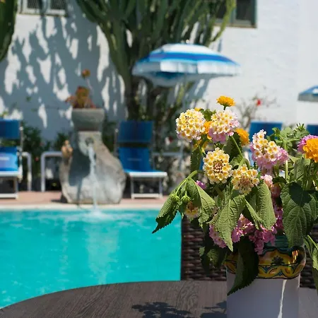 Imperamare Guest house Forio (Isola d'Ischia)